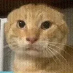 Shan144的头像-万顷琉璃